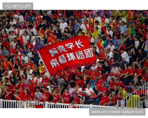 球迷创意助威横幅，文化多样性展示